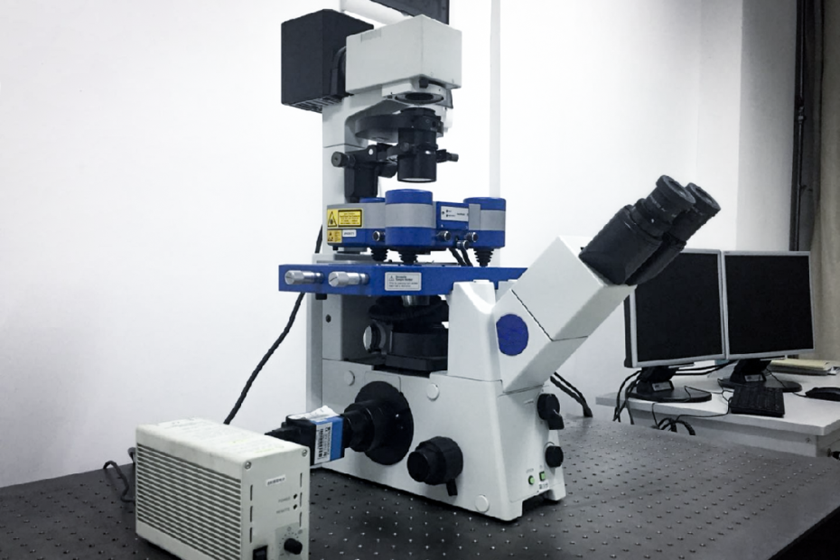 Atomic force microscopy