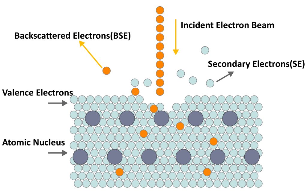Schematic diagram of secondary electrons and backscattered electrons