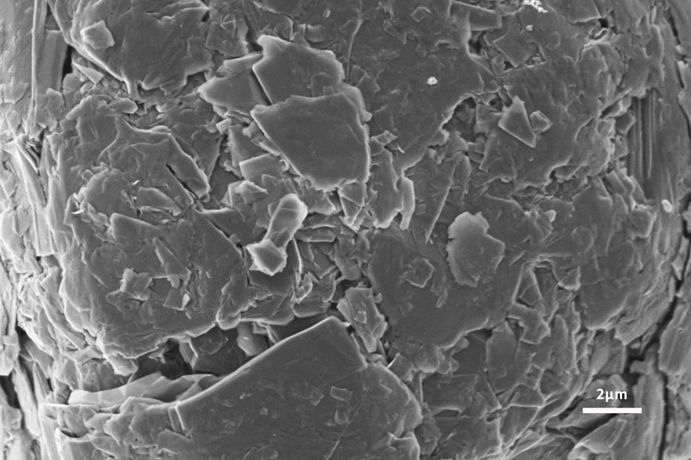 Spherical graphite surface/3kV/ETD