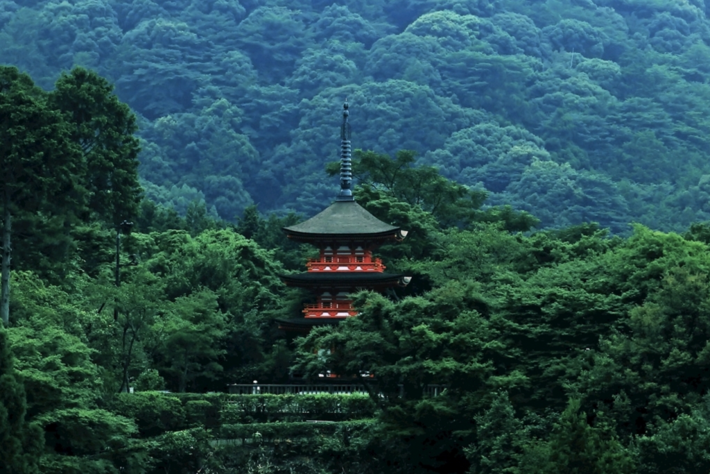 landscape picture