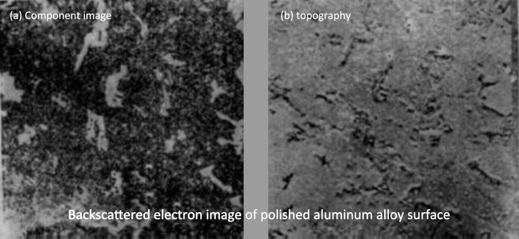 backscattered electron image