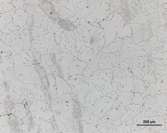 Bright-field image of pure aluminum
