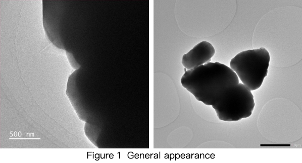 General appearance