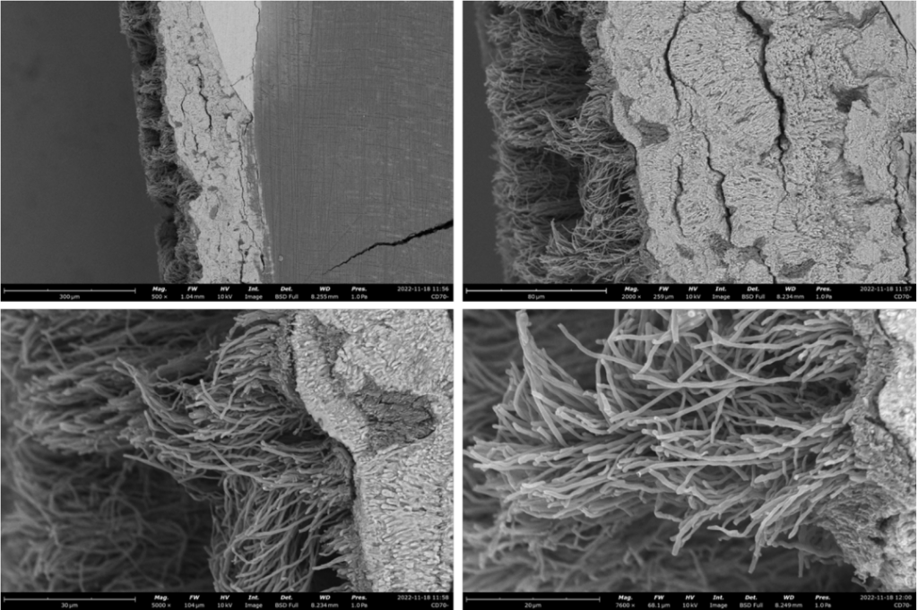 Topography of carboxymethyl chitin microspheres prepared with different concentrations of tert-butanol under different magnifications of SEM | Source: doi.org/10.1016/j.carbpol.2022.119274
