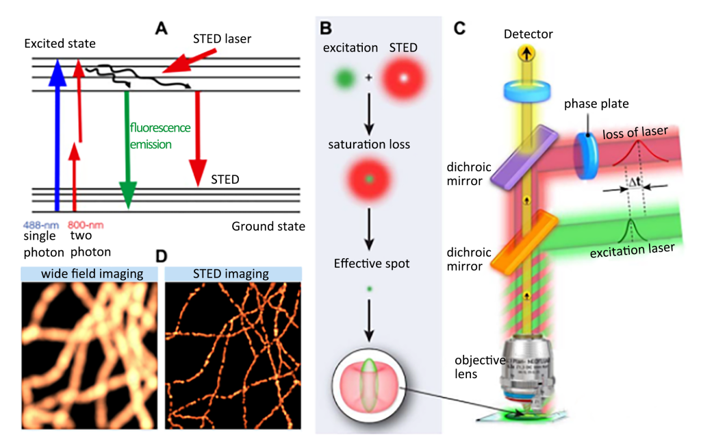 Principle of STED ultra-high-resolution microscopic imaging