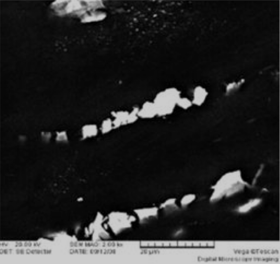 SEM high magnification microstructure of AZ31 magnesium alloy