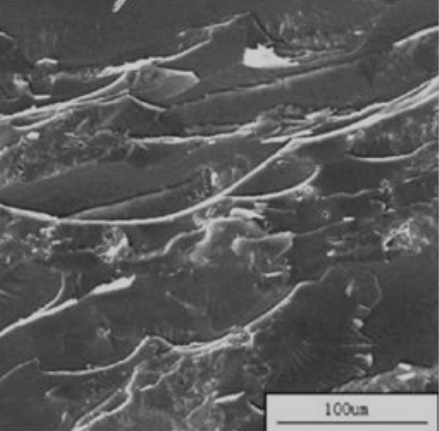 SEM image of the hot-rolled Mg side peeling surface