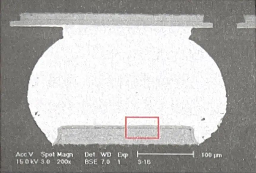 SEM overall photo of solder joint metallography