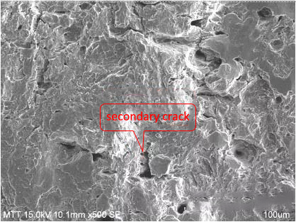 SEM to observe the fracture position of a shaft