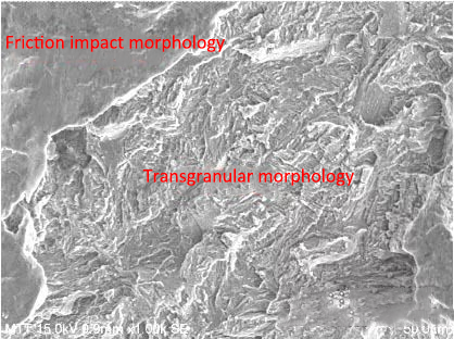 SEM to observe the fracture position of a shaft