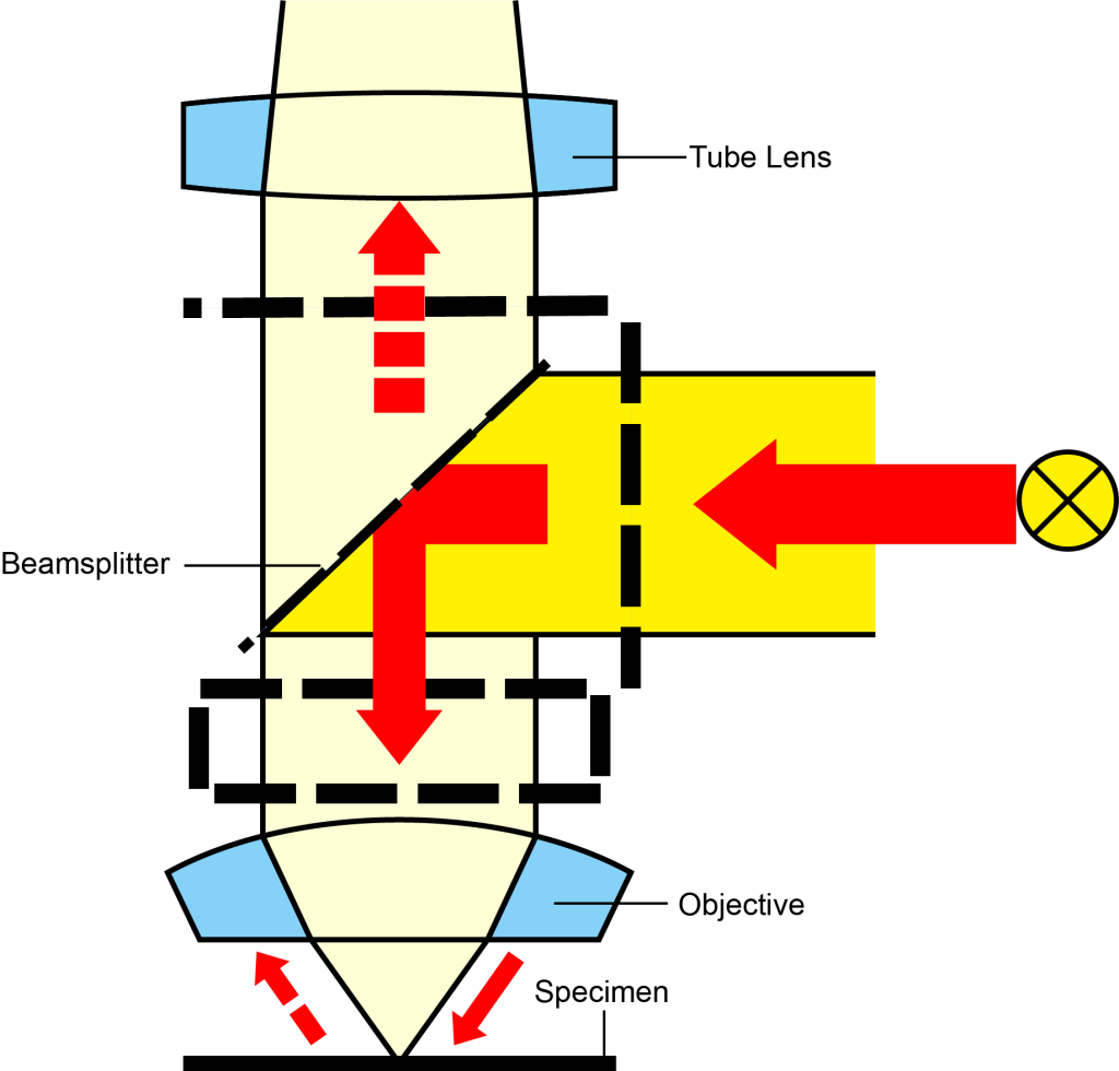 Schematic diagram of reflected bright field structure