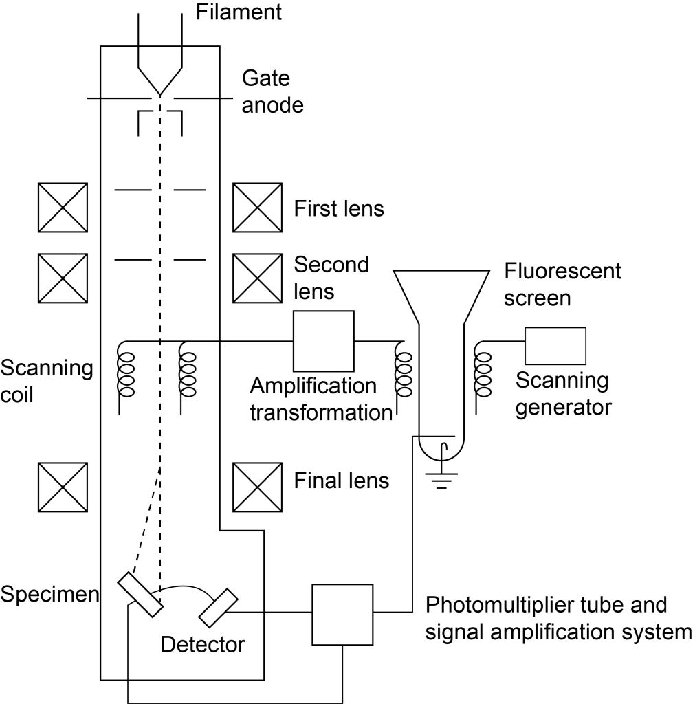 Schematic diagram of the structure of the SEM