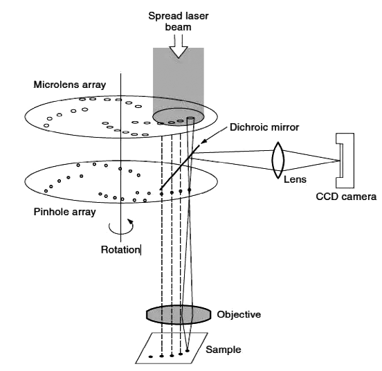 Spinning Disk Confocal Microscope
