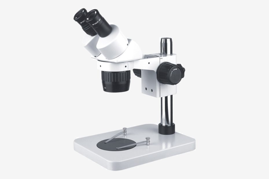 Stereo Microscope
