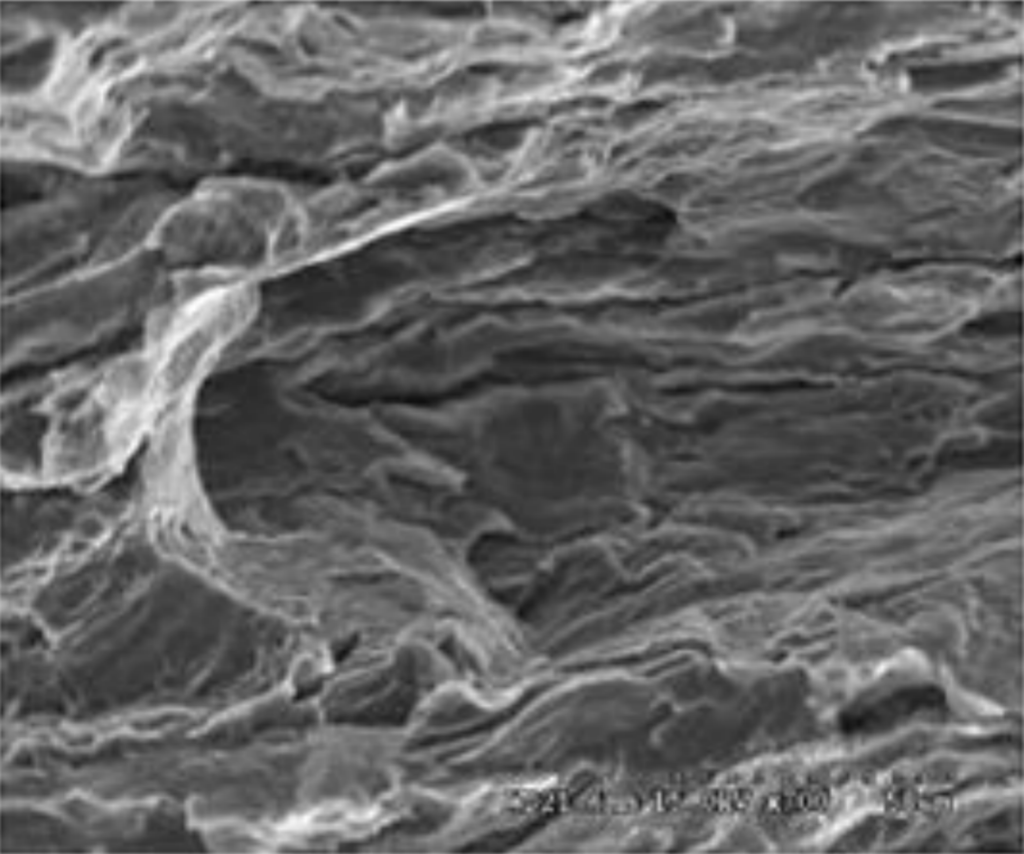 Tensile Fracture Morphology of AZ31 Magnesium Alloy