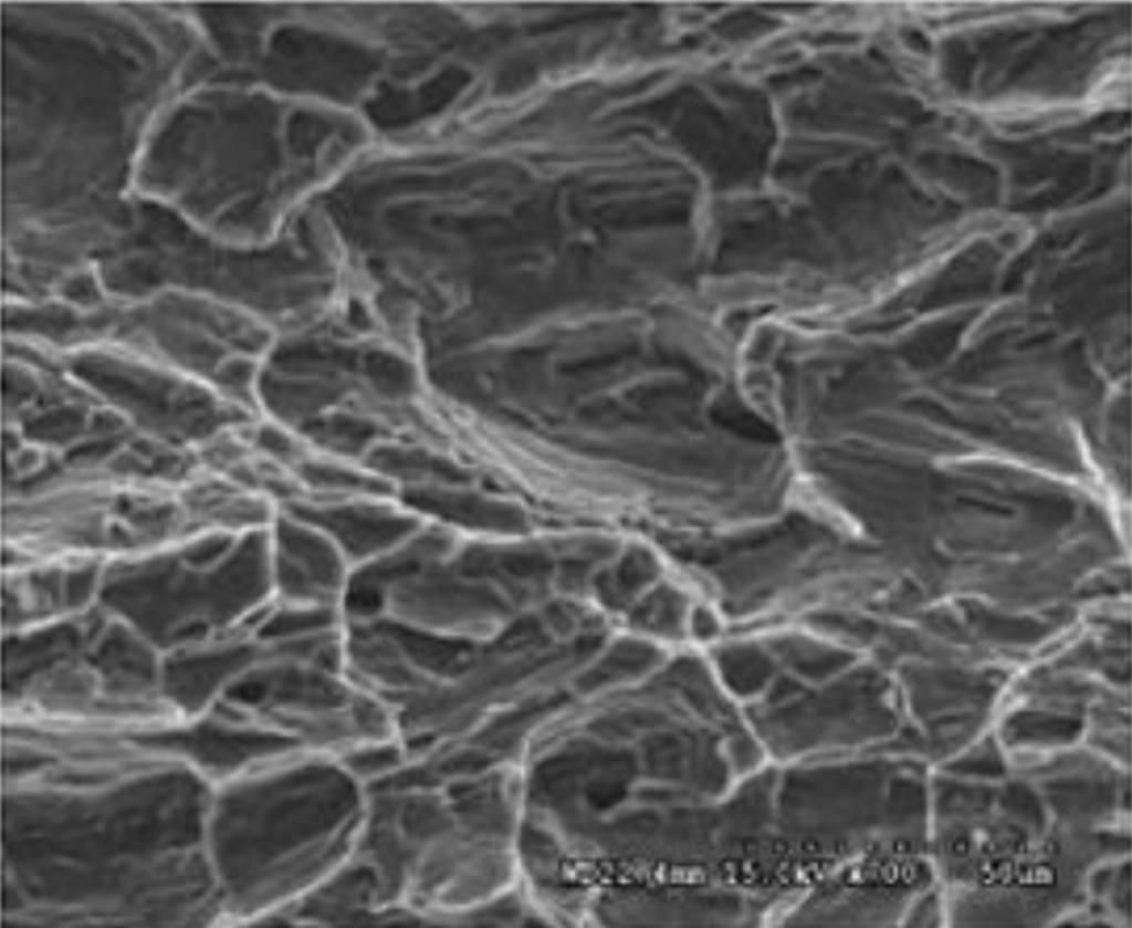 Tensile Fracture Morphology of AZ31 Magnesium Alloy