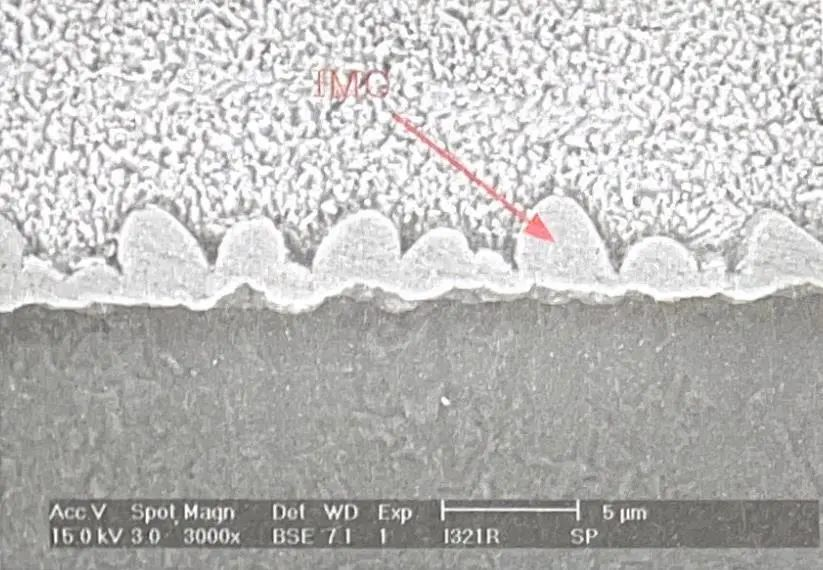 SEM overall photo of solder joint metallography