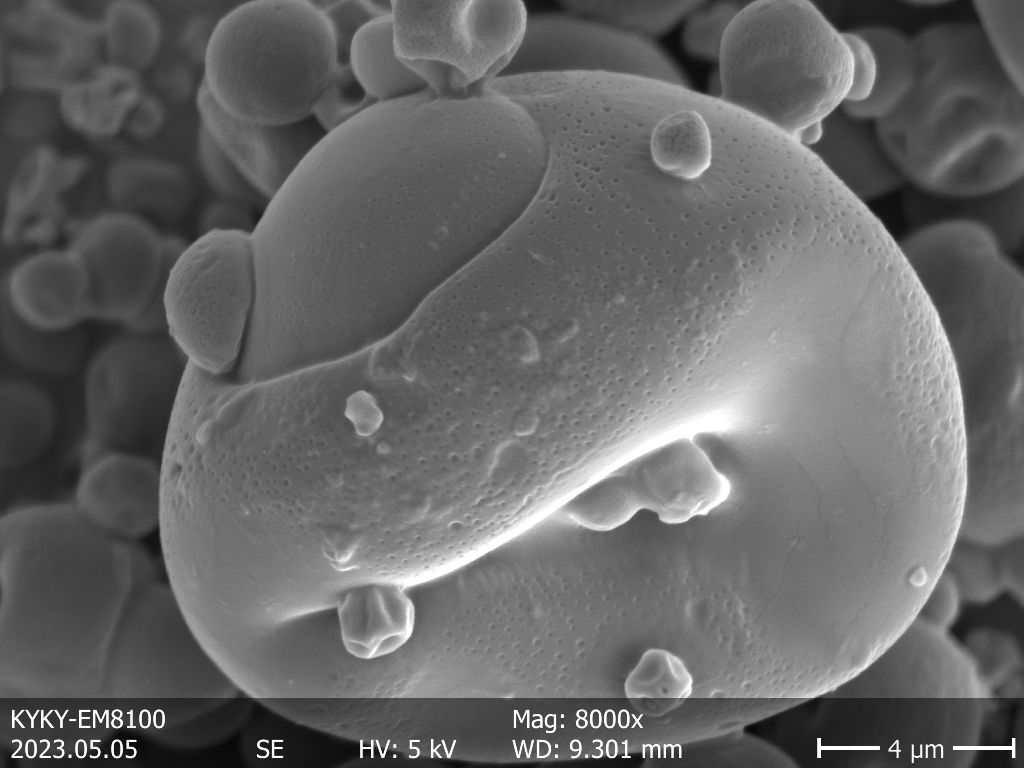 Thymol Microcapsules