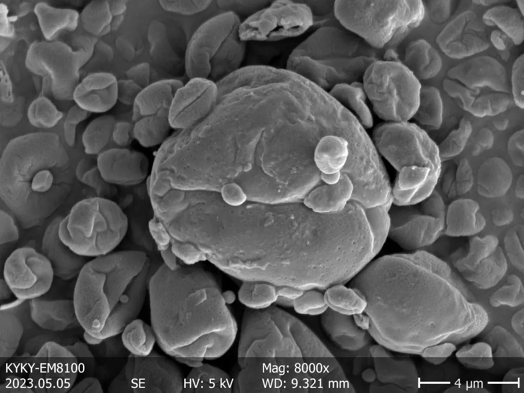 Thymol Microcapsules
