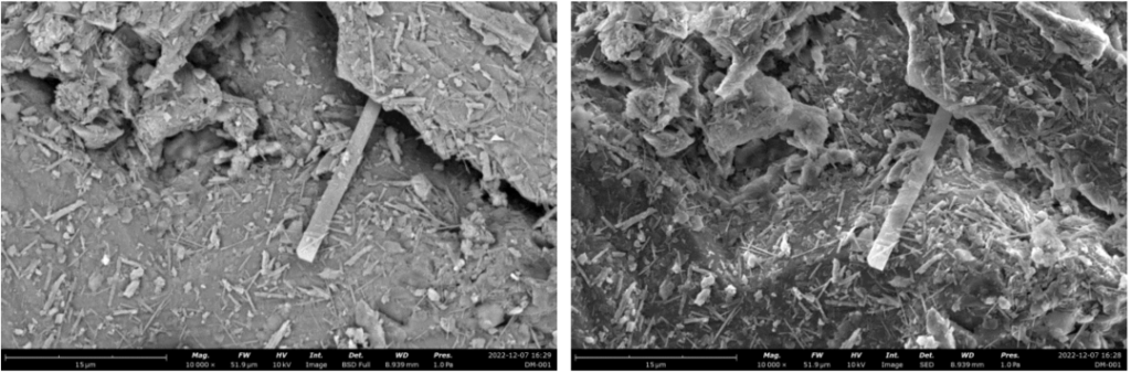 Topography image using backscatter (left) and secondary electron (right) modes | Source: Center for Molecular Imaging, The Fifth Affiliated Hospital of Sun Yat-sen University