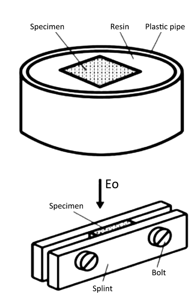 specimen preparation