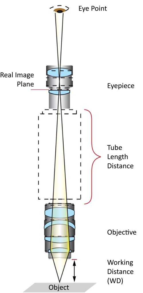 Compound microscope components