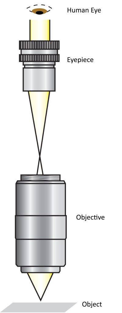 Simple finite conjugate microscope design
