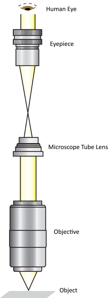 Simple infinite conjugate (far-field corrected) microscope design