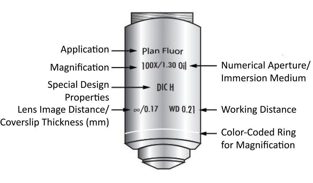 Typical projection microscope objective