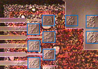 The relief effect of small height differences on the surface of an object under DIC microscope observation