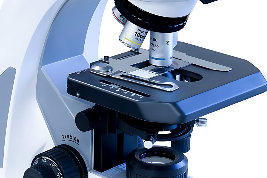 phase contrast microscopy