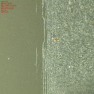 polarized light