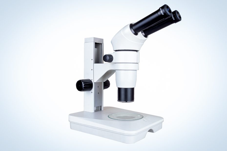zoom-stereo microscope