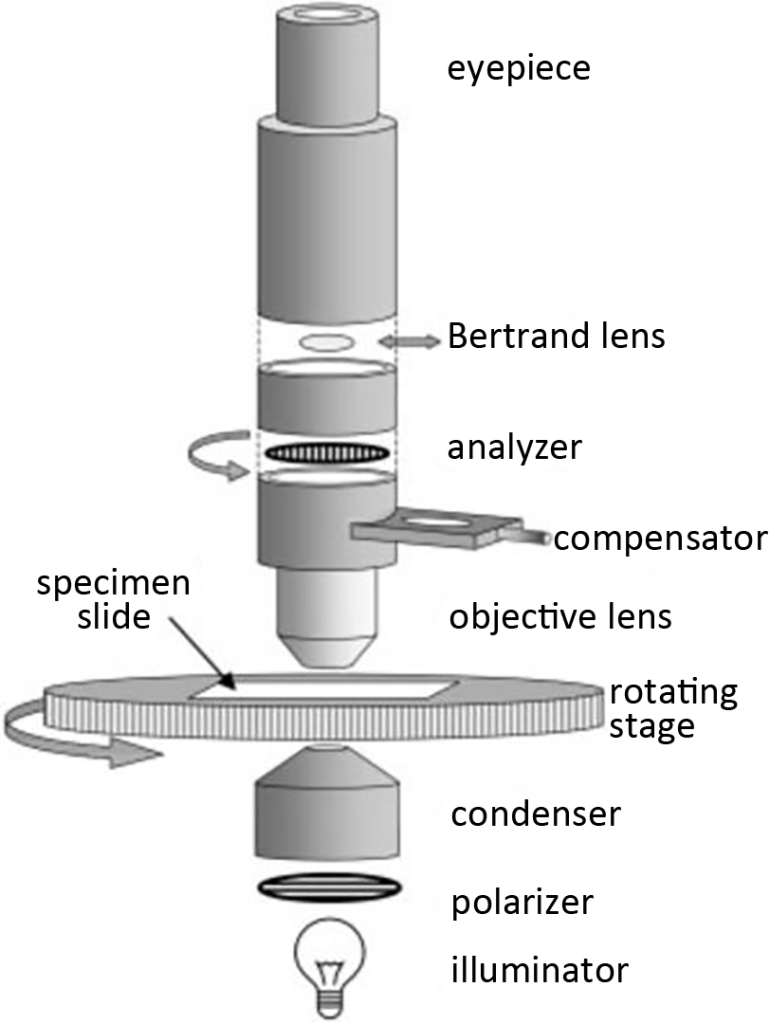 Schematic diagram of polarizing microscope