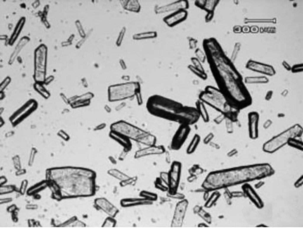 Microscope picture of aspartic acid