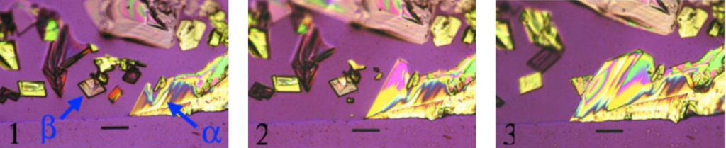 Microscope picture of the crystal transformation process of potassium nitrate