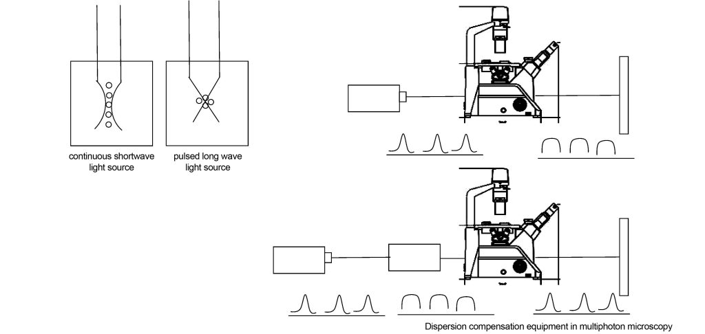 principle of multi-photon imaging