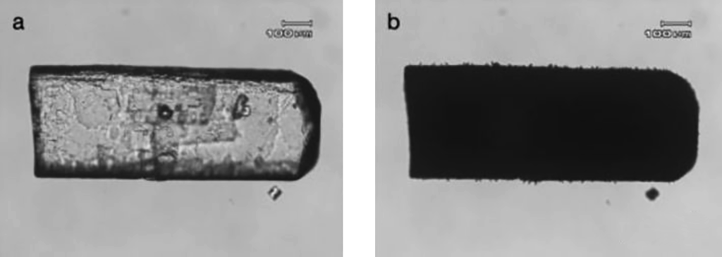 Microscope pictures of oxalic acid dihydrate before and after water loss