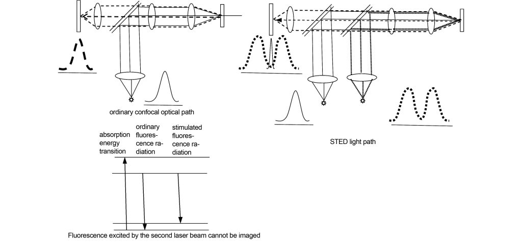 principle of STED microsystem