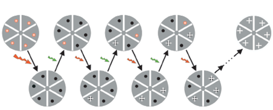 Principle of STORM technology