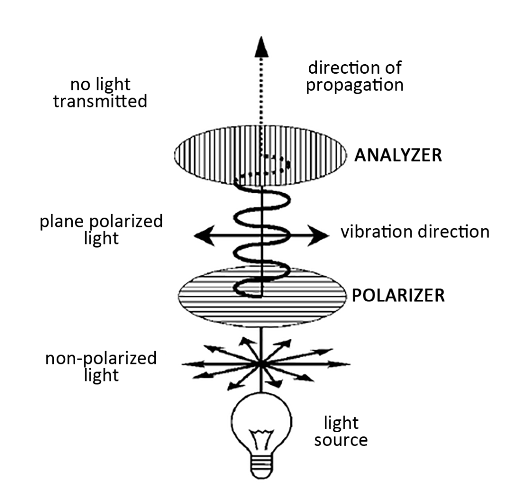 Schematic diagram of the polarized light path