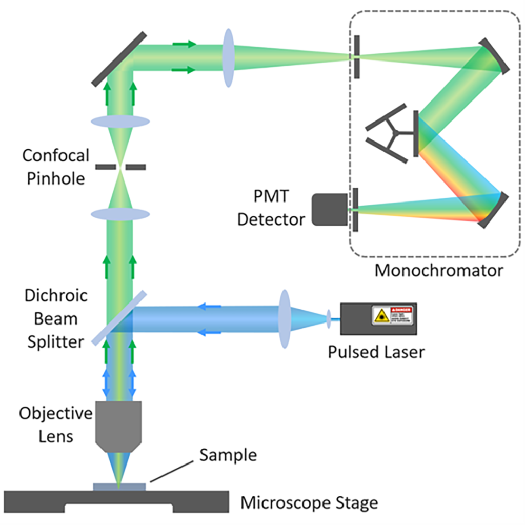 FLIM confocal microscope