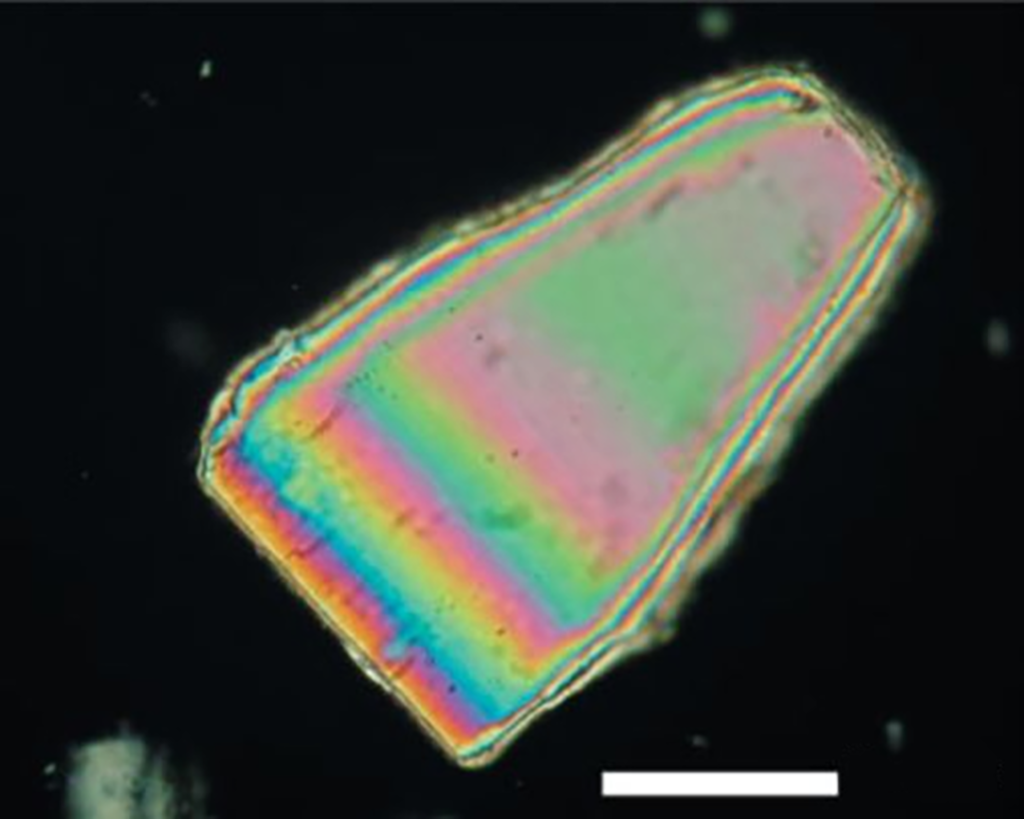Polarized light interference color picture of lactose monohydrate