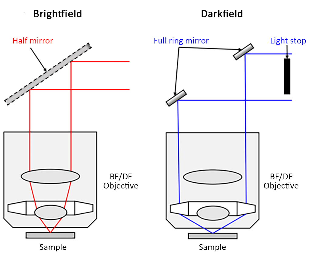 The difference between reflective brightfield illumination mode and reflective darkfield illumination mode in a microscope.