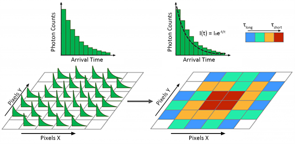 Calculate FLIM data