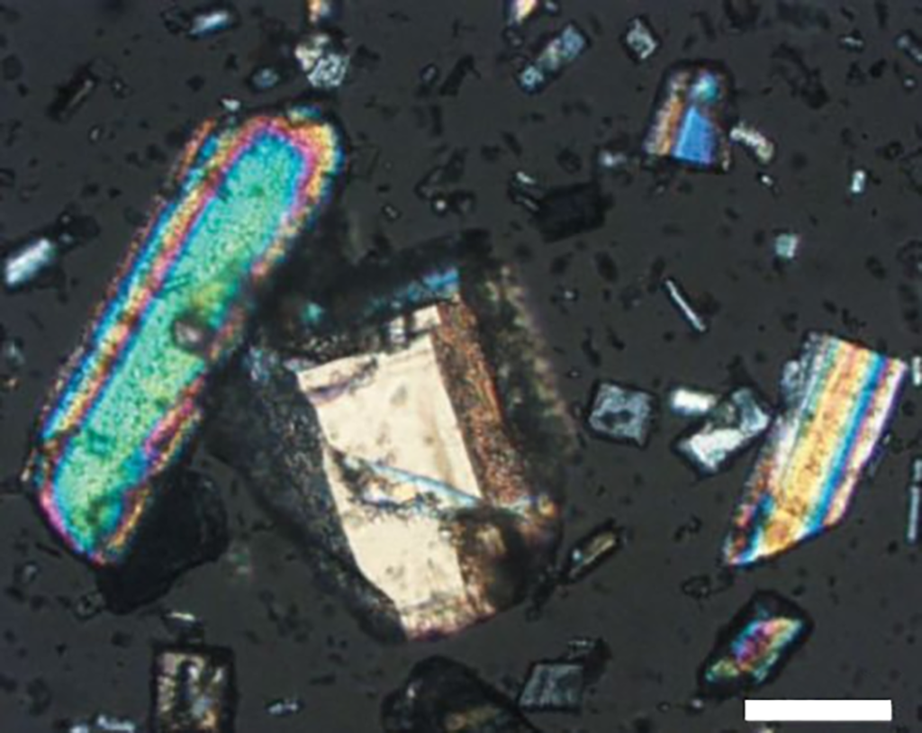 Polarized light picture of a certain crystalline compound