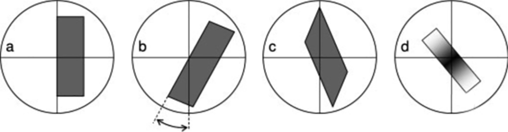 Schematic diagram of different types of extinction