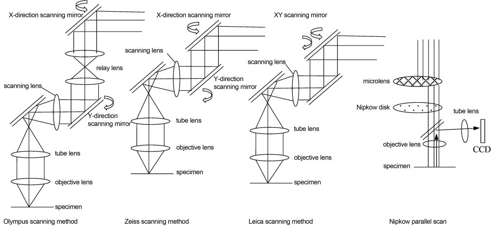 confocal scanning light path diagram