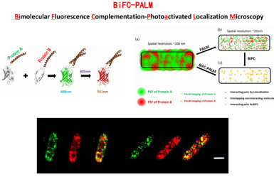 Analyze the interaction between multiple proteins.png
