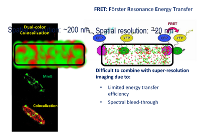 Analyze the interaction between multiple proteins 1.png
